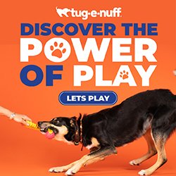 Tug games for dogs