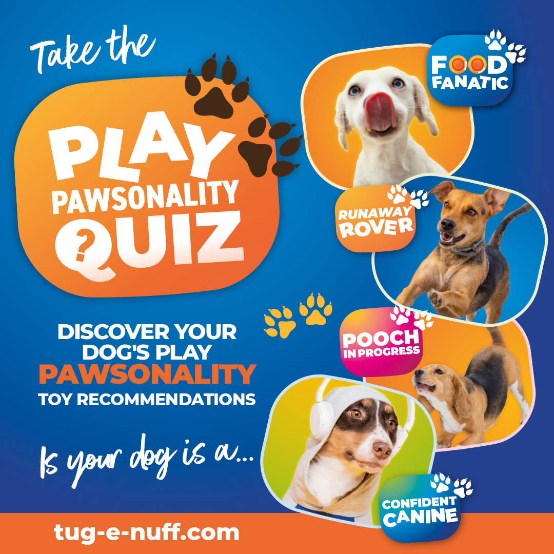 Quiz on best tug games for dogs